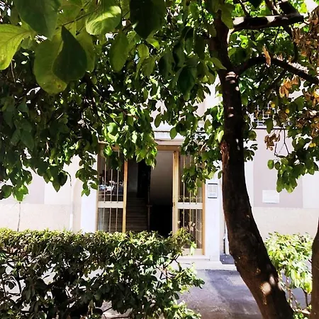 Domus Latina